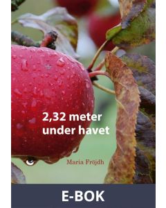 2,32 meter under havet, E-bok