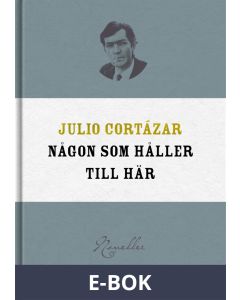 Någon som håller till här, E-bok