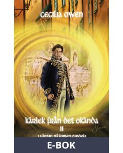 Kärlek från det okända 2, E-bok