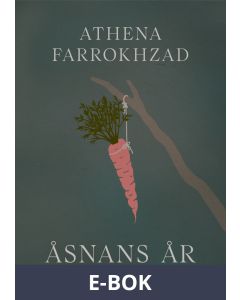 Åsnans år, E-bok