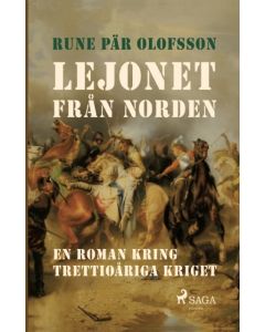 Lejonet från Norden : en roman kring Trettioåriga kriget