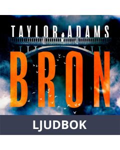 Bron, Ljudbok
