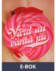 Värd att vänta på - erotiska noveller, E-bok