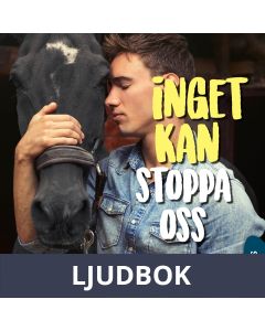 Inget kan stoppa oss, Ljudbok