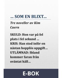 ...SOM EN BLIXT..., E-bok