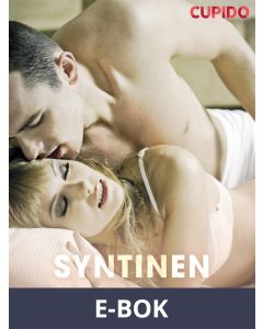 Syntinen paljastus, E-bok