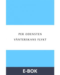 Vänterskans flykt, E-bok