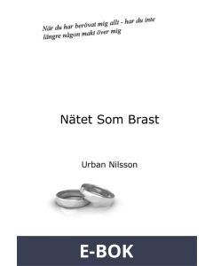 Nätet som Brast, E-bok