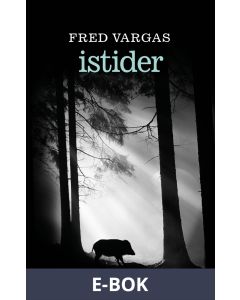Istider, E-bok
