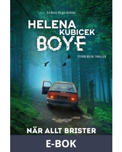 När allt brister, E-bok