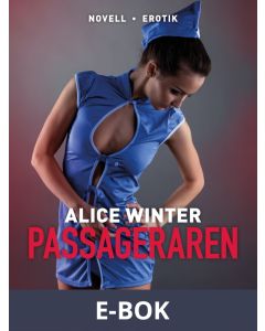 Passageraren, E-bok