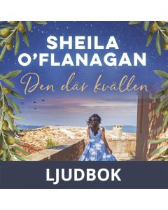 Den där kvällen, Ljudbok