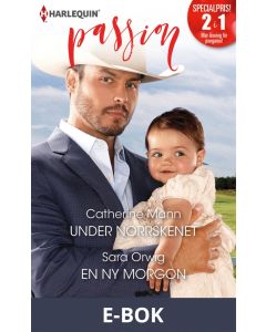 Under norrskenet/En ny morgon, E-bok