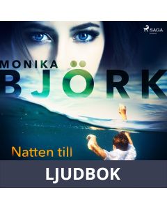 Natten till Hemingway, Ljudbok