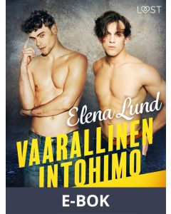 Vaarallinen intohimo - eroottinen novelli, E-bok
