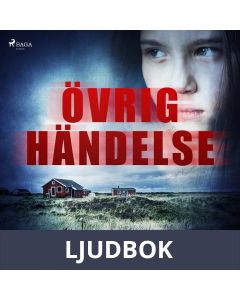 Övrig händelse, Ljudbok