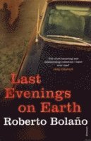 Last Evenings On Earth