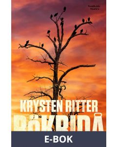 Rökridå, E-bok