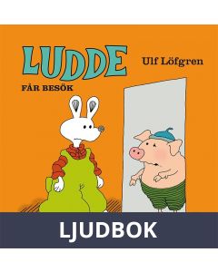 Ludde får besök, Ljudbok