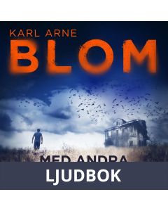 Med andra ögon, Ljudbok