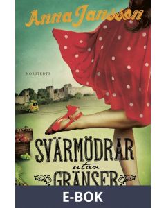 Svärmödrar utan gränser : Roman, E-bok