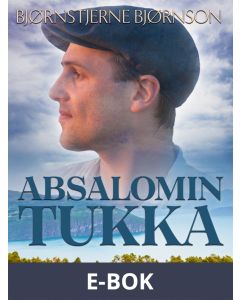 Absalomin tukka, E-bok