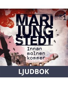 Innan molnen kommer, Ljudbok