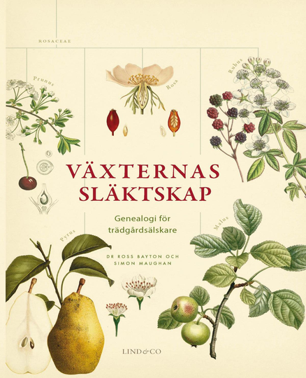 Växternas Släktskap - Genealogi För Trädgårdsälskare