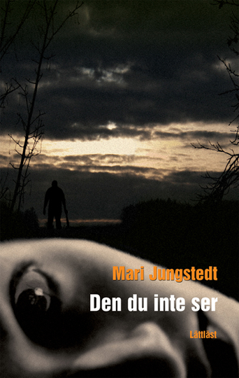 Den Du Inte Ser (lättläst)