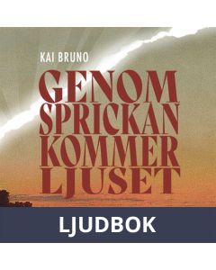 Genom sprickan kommer ljuset, Ljudbok