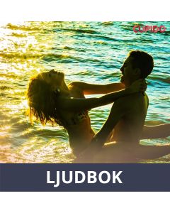 Semesterminnen, Ljudbok