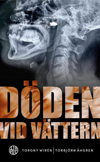 Döden Vid Vättern - En Roman Om Brott