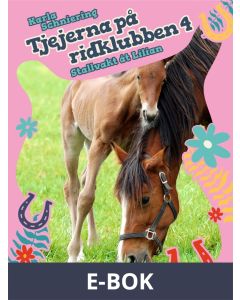 Tjejerna på ridklubben 4 - Stallvakt åt Lilian, E-bok