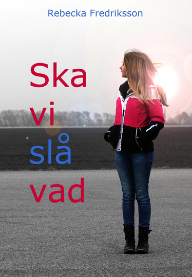 Ska Vi Slå Vad