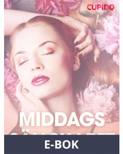 Middagssa¨llskapet - erotiska noveller, E-bok