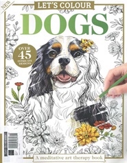 Tidningen Lets Colour (UK) 6 nummer