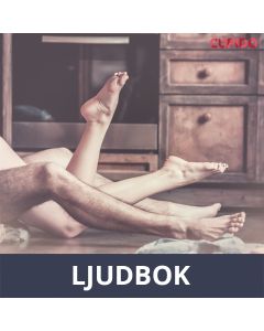 Fritid - erotiska noveller, Ljudbok