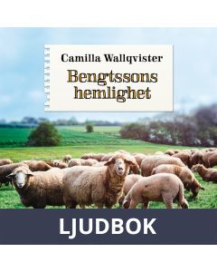 Bengtssons hemlighet / Lättläst, Ljudbok