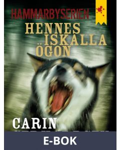 Hennes iskalla ögon, E-bok