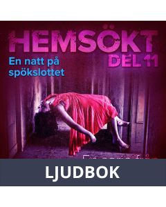 En natt på spökslottet, Ljudbok