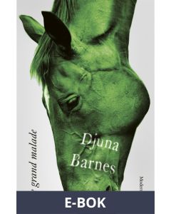 Le grand malade, E-bok