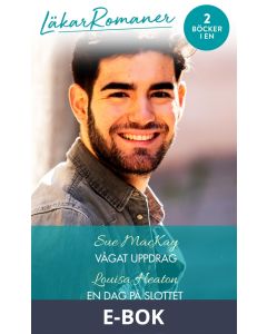 Vågat uppdrag/En dag på slottet, E-bok