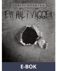 Ett hål i väggen, E-bok