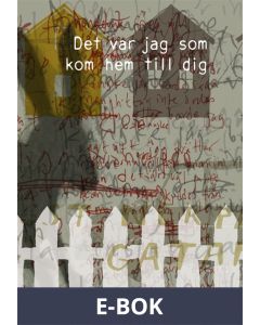 Det var jag som kom hem till dig, E-bok