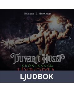 Tjuvar i huset, Ljudbok