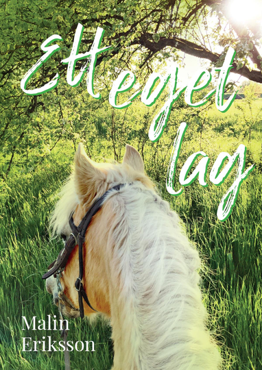 Ett Eget Lag