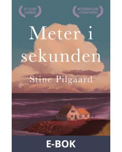 Meter i sekunden, E-bok