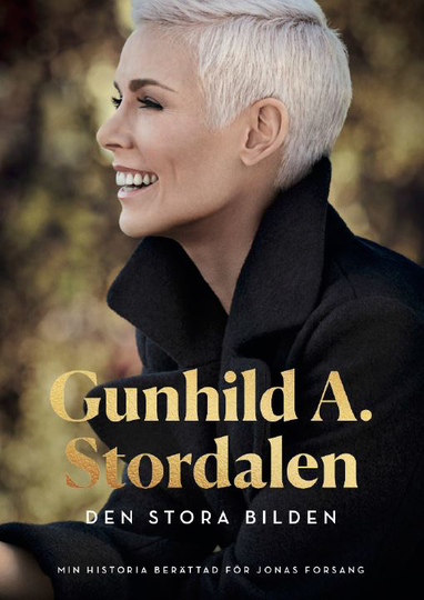 Den Stora Bilden