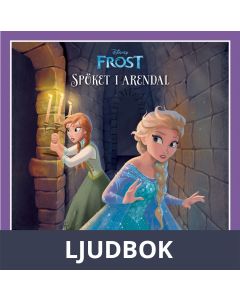 Frost - Spöket i Arendal, Lätt att läsa, Ljudbok