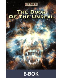 The Door of the Unreal, E-bok